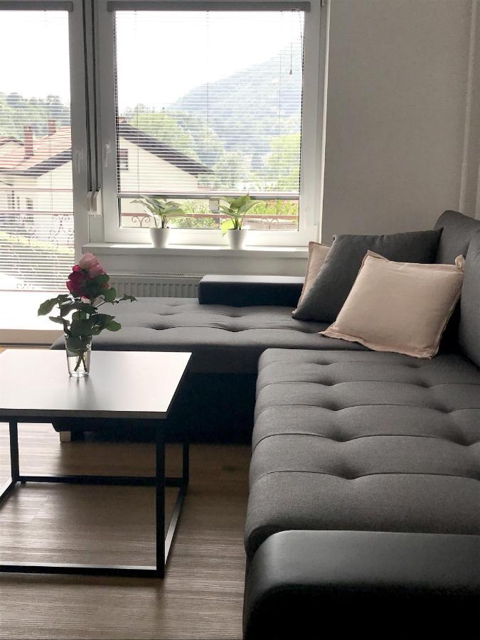 Apartment Loyd, Tolmin - Мост-на-Соки Экстерьер фото