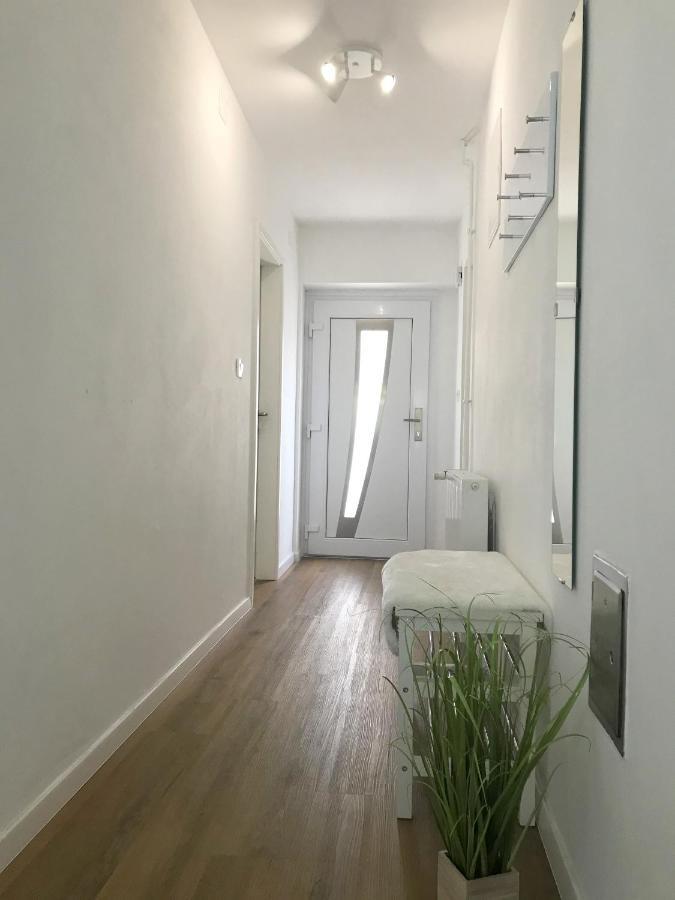 Apartment Loyd, Tolmin - Мост-на-Соки Экстерьер фото