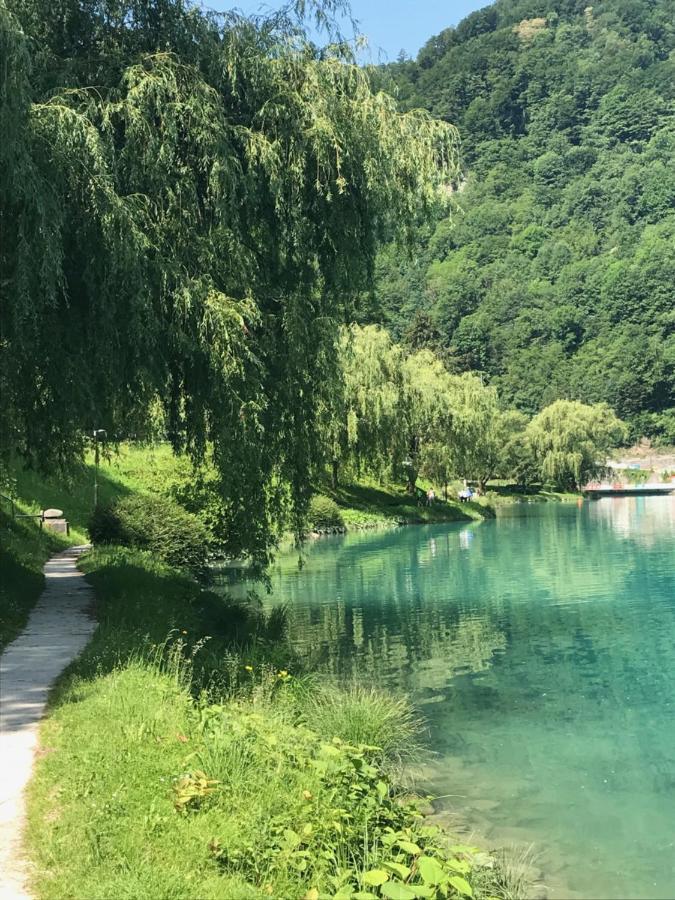 Apartment Loyd, Tolmin - Мост-на-Соки Экстерьер фото