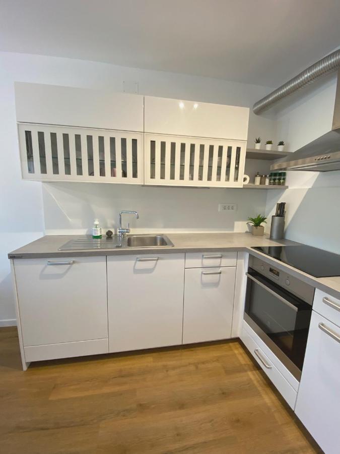 Apartment Loyd, Tolmin - Мост-на-Соки Экстерьер фото