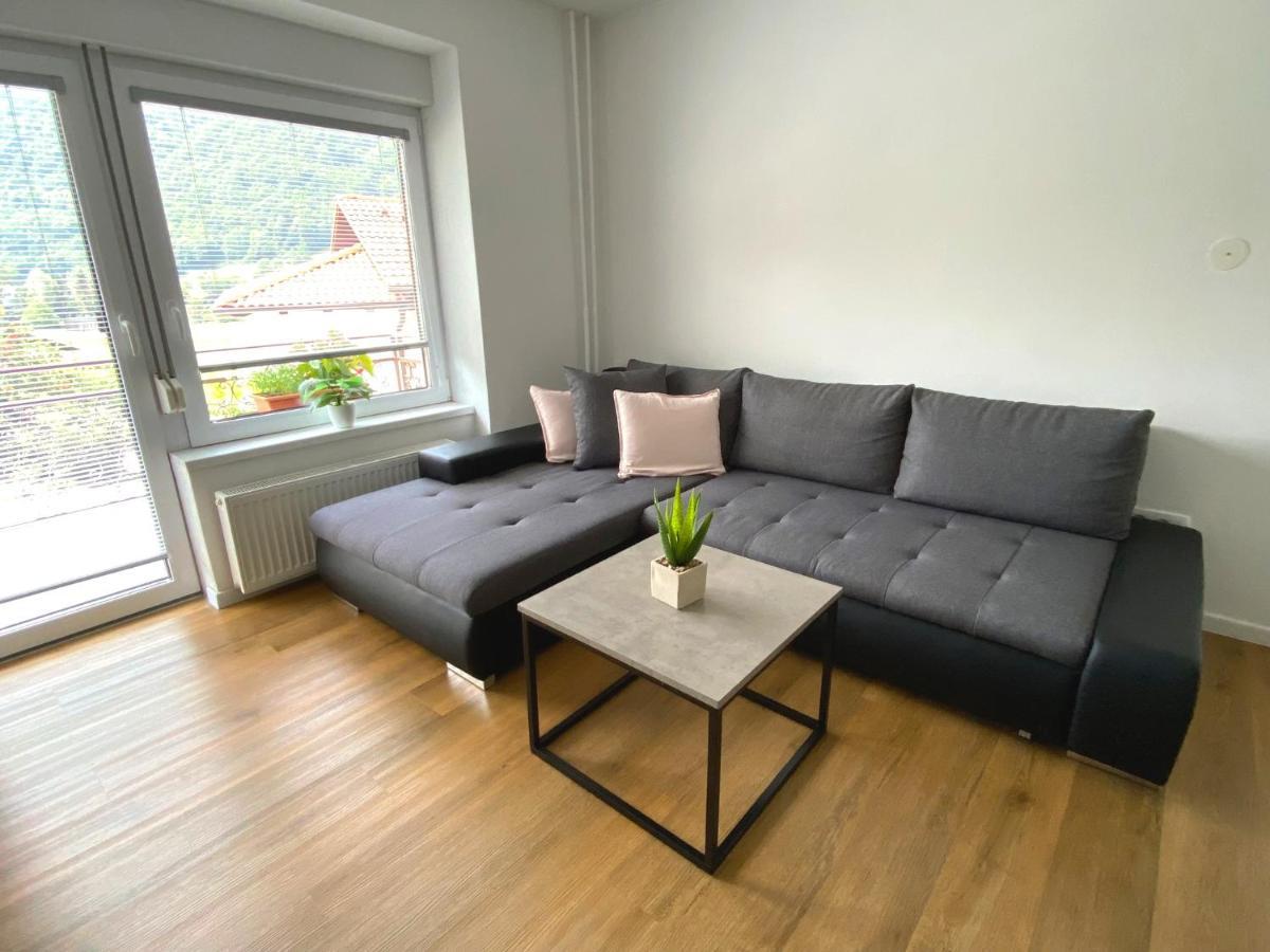Apartment Loyd, Tolmin - Мост-на-Соки Экстерьер фото